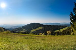 Landschaftsbild von Schwanberg. Wiese, Wald, Sonnenschein.